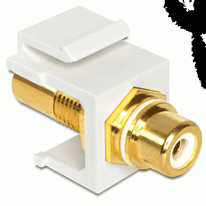Embase Keystone RCA femelle > RCA fem. blanc gold - 86310