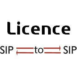 Licence beroNet SBC 16 sessions - BNSBC-SESSION-16