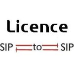 SBC License 128 SIP to SIP sessions BNSBC-M, L, XL - BNSBC-SESSION-TP-128