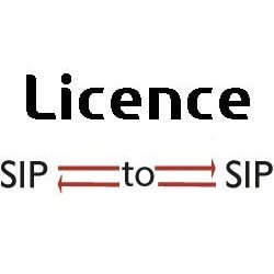 SBC License 128 SIP to SIP sessions BNSBC-M, L, XL - BNSBC-SESSION-TP-128