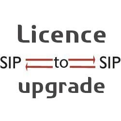 SBC Upgrade 16 to 32 sessions - BNSBC-SESSION-TP-UPGRADE-32