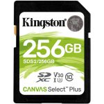 Carte SDXC Canvas Select Plus 256Gb - SDS2/256GB