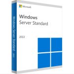 Windows 2022 Server Std 64 FR bits DVD 24 Core - P73-08347
