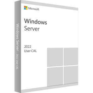 Windows Server CAL 2022 OEI 1 user - R18-06449