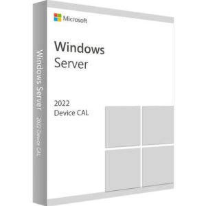 Windows Server CAL 2022 OEI 1 device - R18-06413
