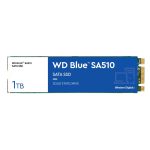 SSD WD Blue SA510 1To -Format M.2 2280 - WDS100T3B0B