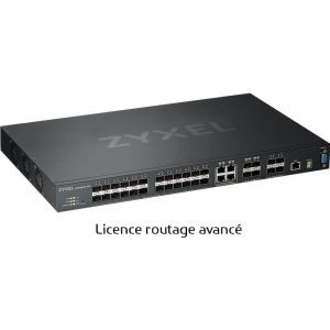Licence  Routage Avancé pour  XGS460032 - LIC-ADVL3-ZZ0001F